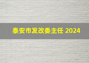 泰安市发改委主任 2024